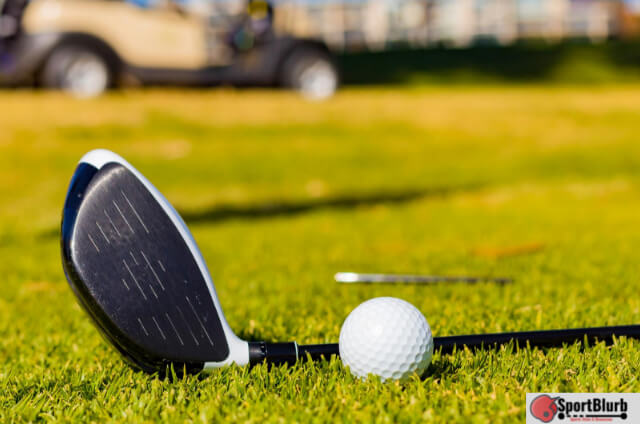 Titleist ProV1 Practice Golf Ball