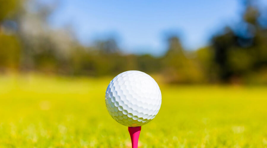 Top Flite 2020 Distance Golf Balls Review 