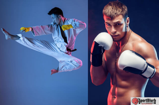 Boxing VS Martial Arts