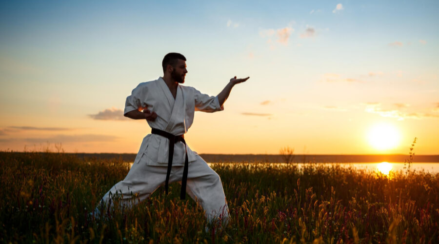 History Of Martial Arts 